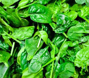 Spinach